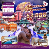 ฮอกไกโด 5 วัน 3 คืน